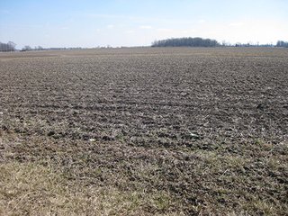Property photo 10 - 116 +/- Acres Offered in 4 Tracts - Land & Cattle Facility Auction
